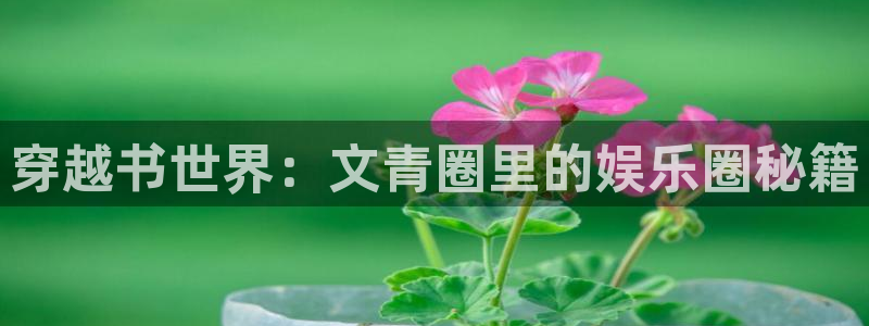 环球360私网代理合作：穿越书世界：文青圈里的娱乐圈秘籍