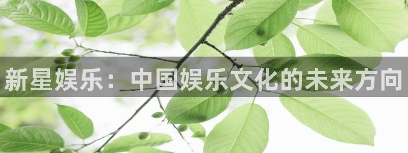 环球360登录入口：新星娱乐：中国娱乐文化的未来方向
