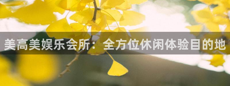 环球360官网会员注册：美高美娱乐会所：全方位休闲体验目的地