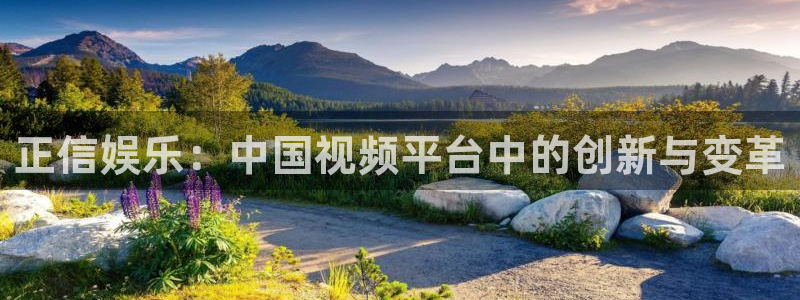 环球360私网一比一：正信娱乐：中国视频平台中的创新与变革