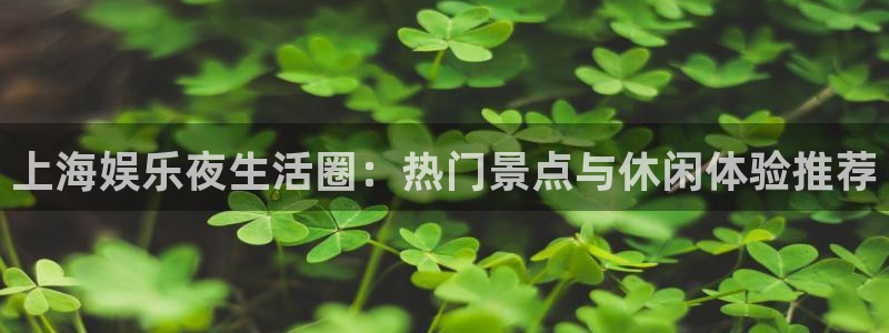 环球360私网一比一：上海娱乐夜生活圈：热门景点与休闲体验推荐