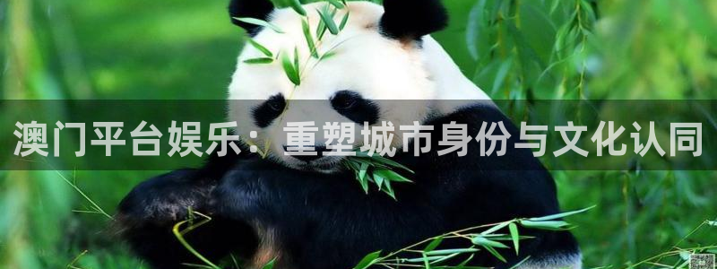 环球360：澳门平台娱乐：重塑城市身份与文化认同