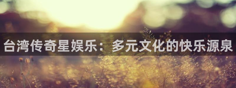 环球360娱乐官网免费观看：台湾传奇星娱乐：多元文化的快乐源泉