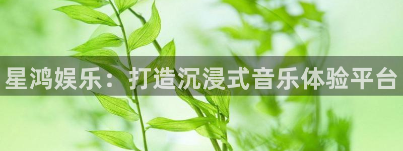环球360娱乐官网免费观看：星鸿娱乐：打造沉浸式音乐体验平台