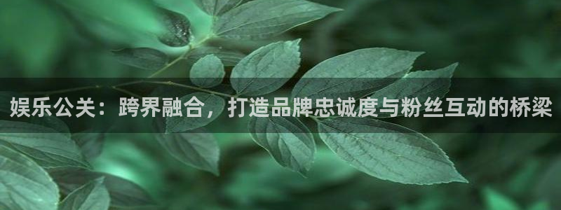 环球360：娱乐公关：跨界融合，打造品牌忠诚度与粉丝互动的桥梁