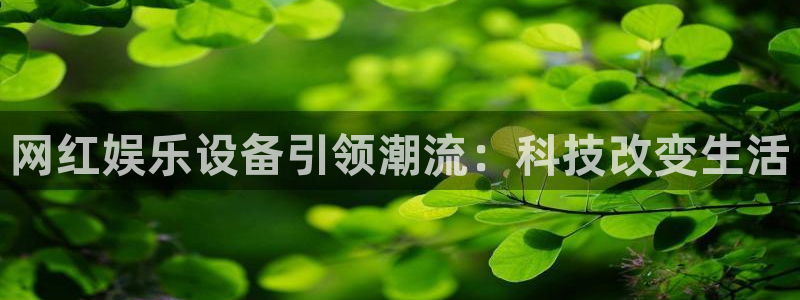 环球360登录入口：网红娱乐设备引领潮流：科技改变生活