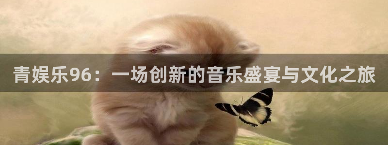 环球360一比一：青娱乐96：一场创新的音乐盛宴与文化之旅
