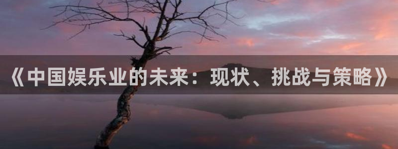 环球360娱乐官网免费观看：《中国娱乐业的未来：现状、挑战与策略》