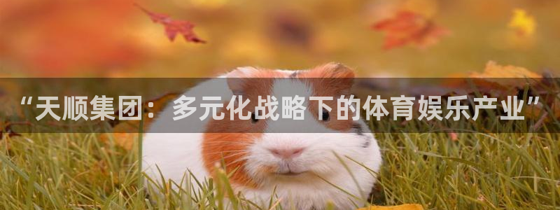 环球360：“天顺集团：多元化战略下的体育娱乐产业”
